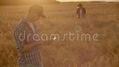 两个农民，一个男人和一个女人，期待着日落越过一片麦田。 农业综合企业的团队合作。
